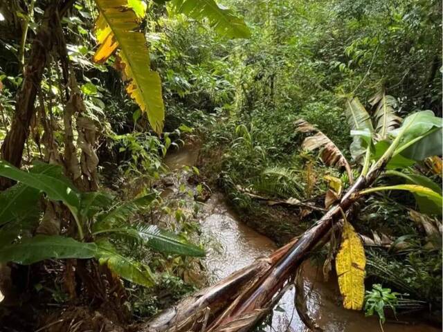 #52 - Chácara para Venda em Pedra Bela - SP