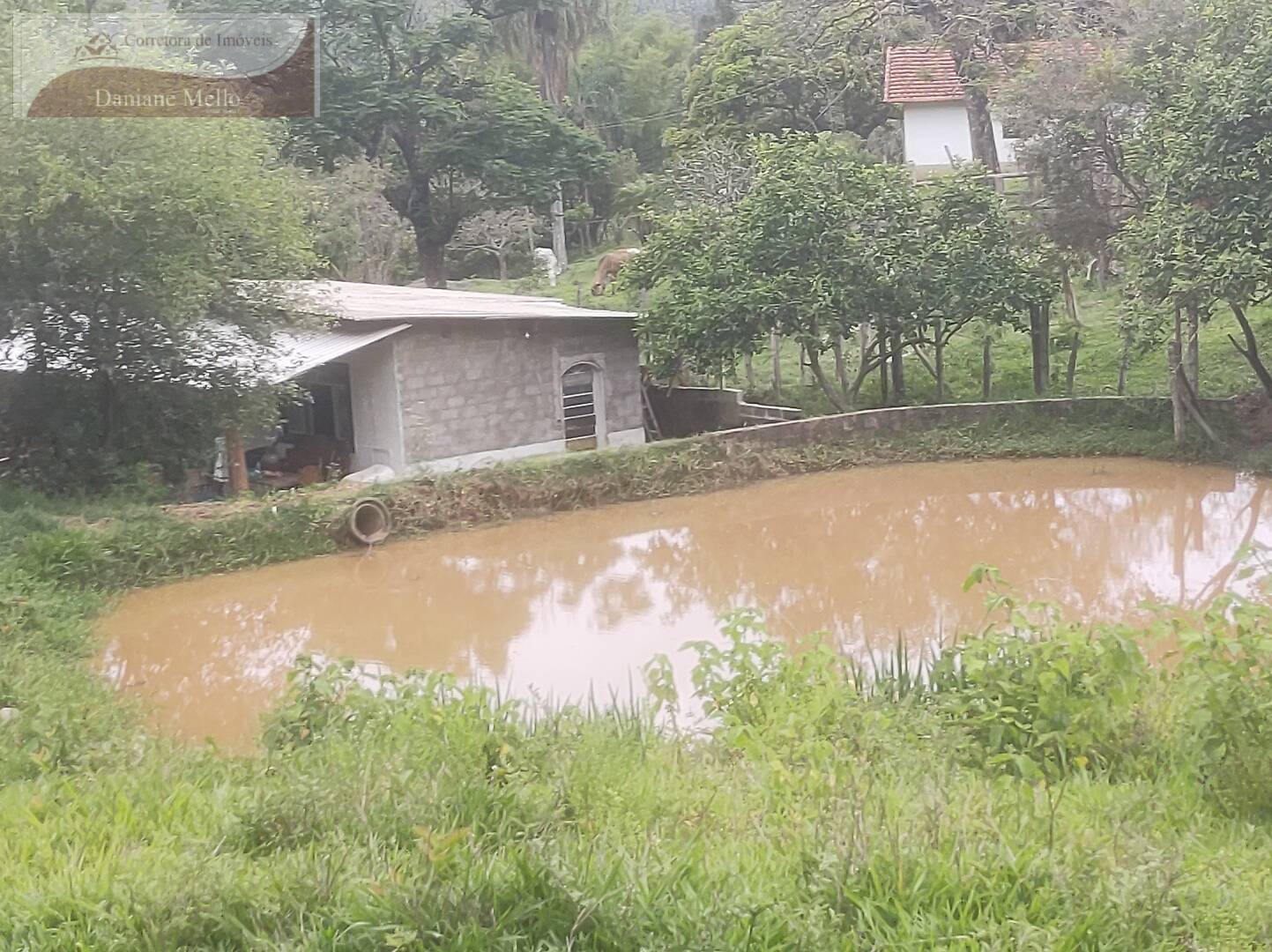 Fazenda à venda com 2 quartos, 80m² - Foto 2