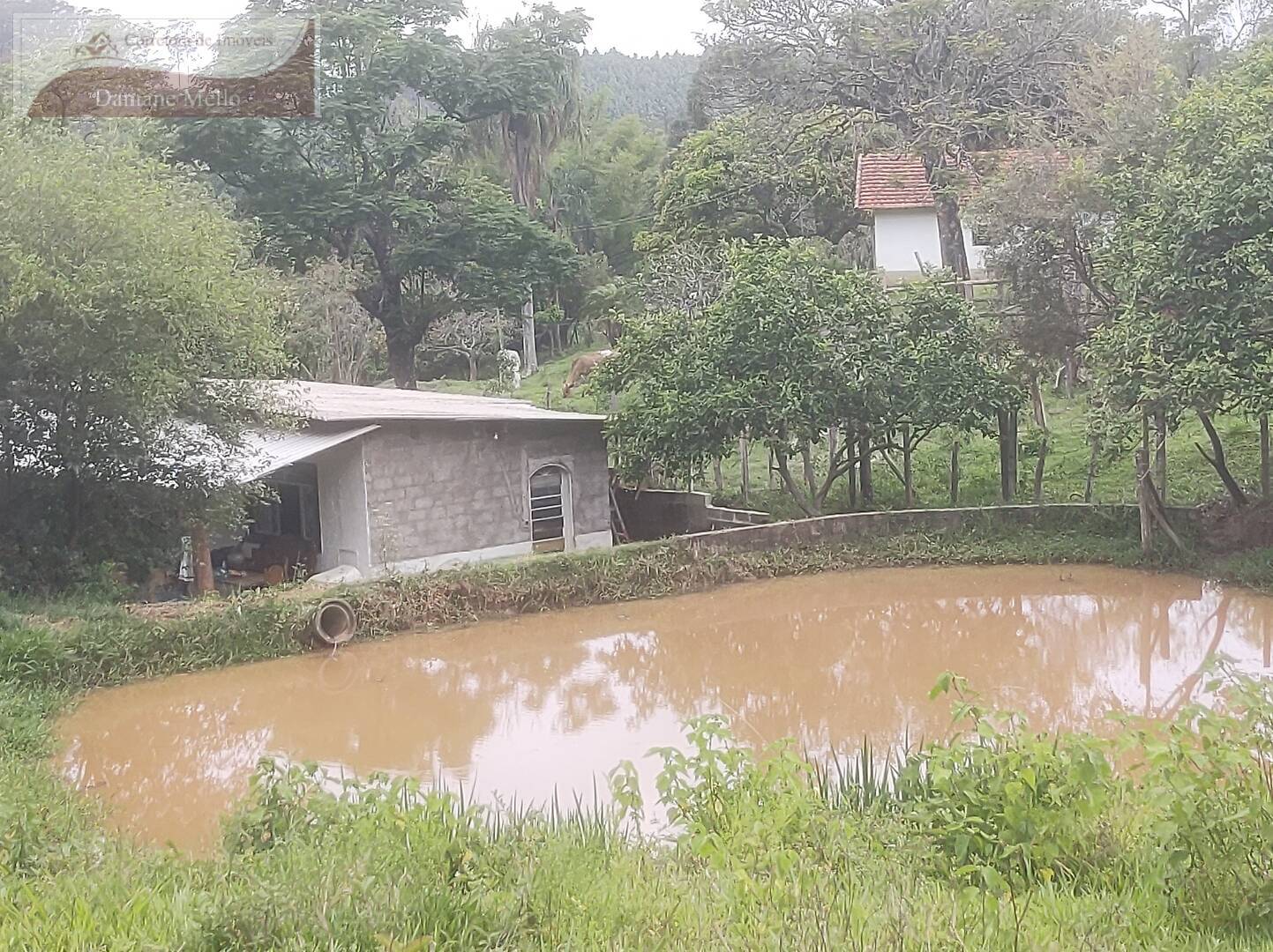 Fazenda à venda com 2 quartos, 80m² - Foto 20