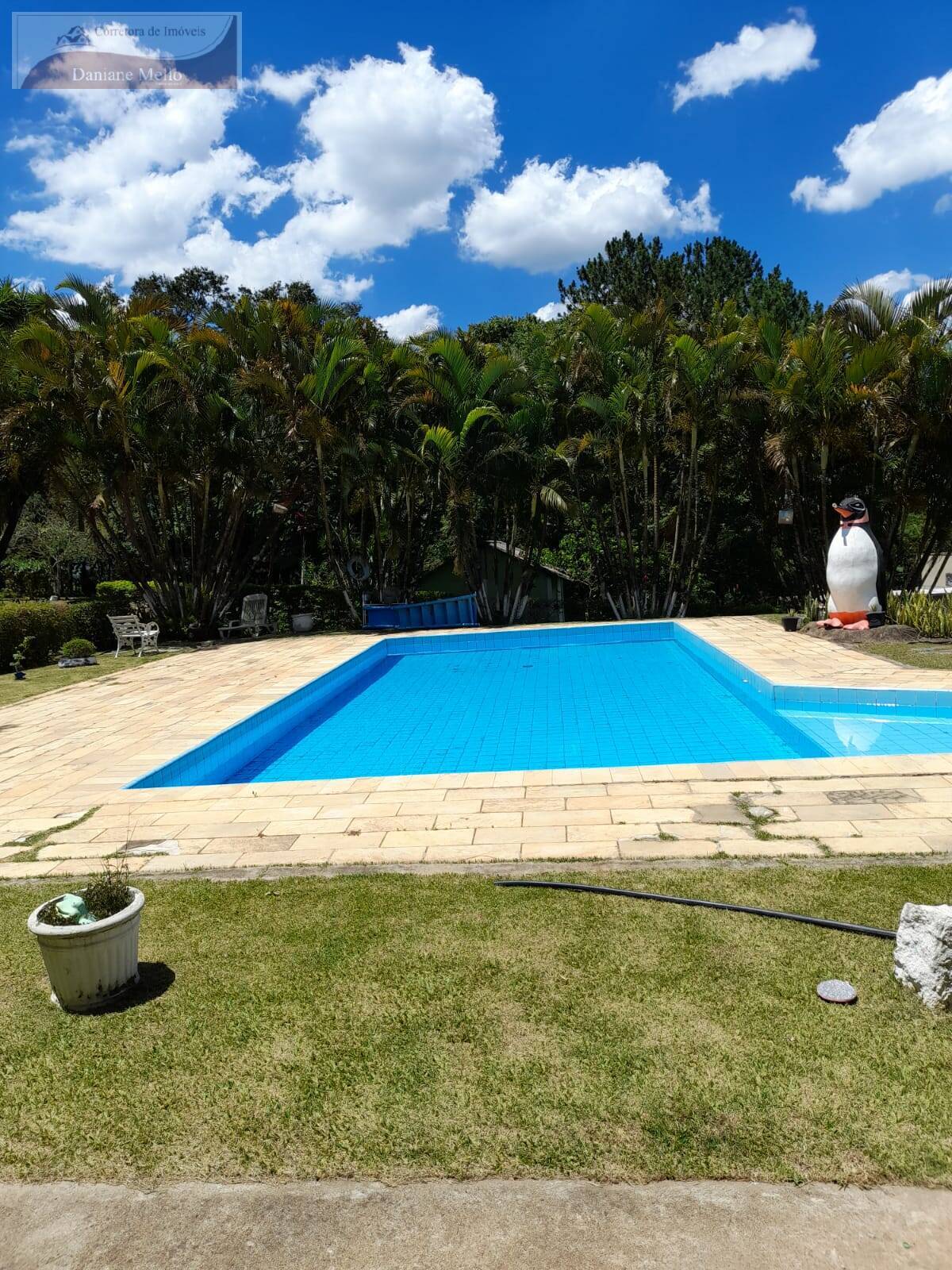 Fazenda à venda com 3 quartos, 200m² - Foto 3