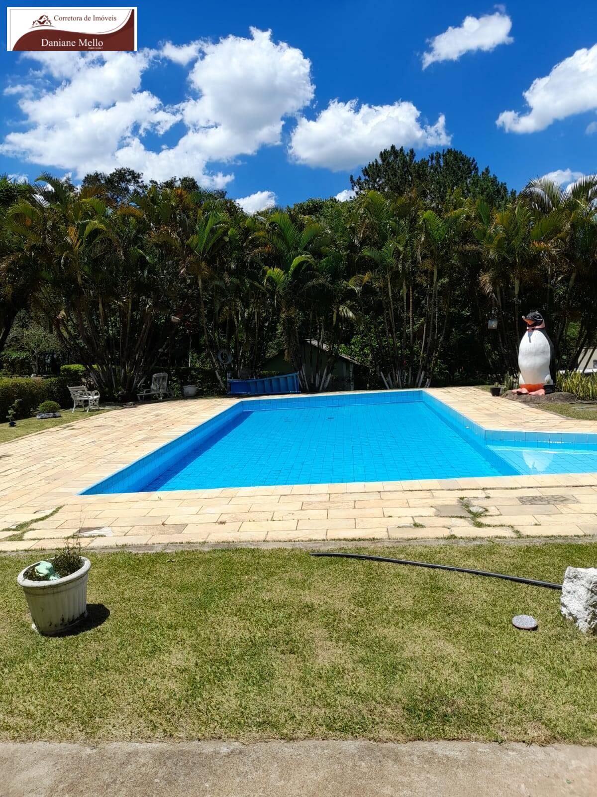 Fazenda à venda com 3 quartos, 200m² - Foto 4