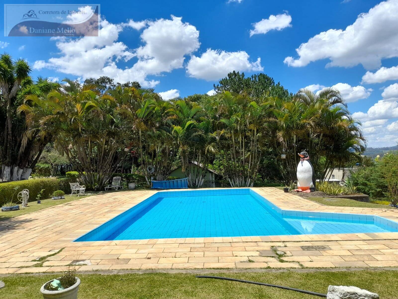 Fazenda à venda com 3 quartos, 200m² - Foto 7