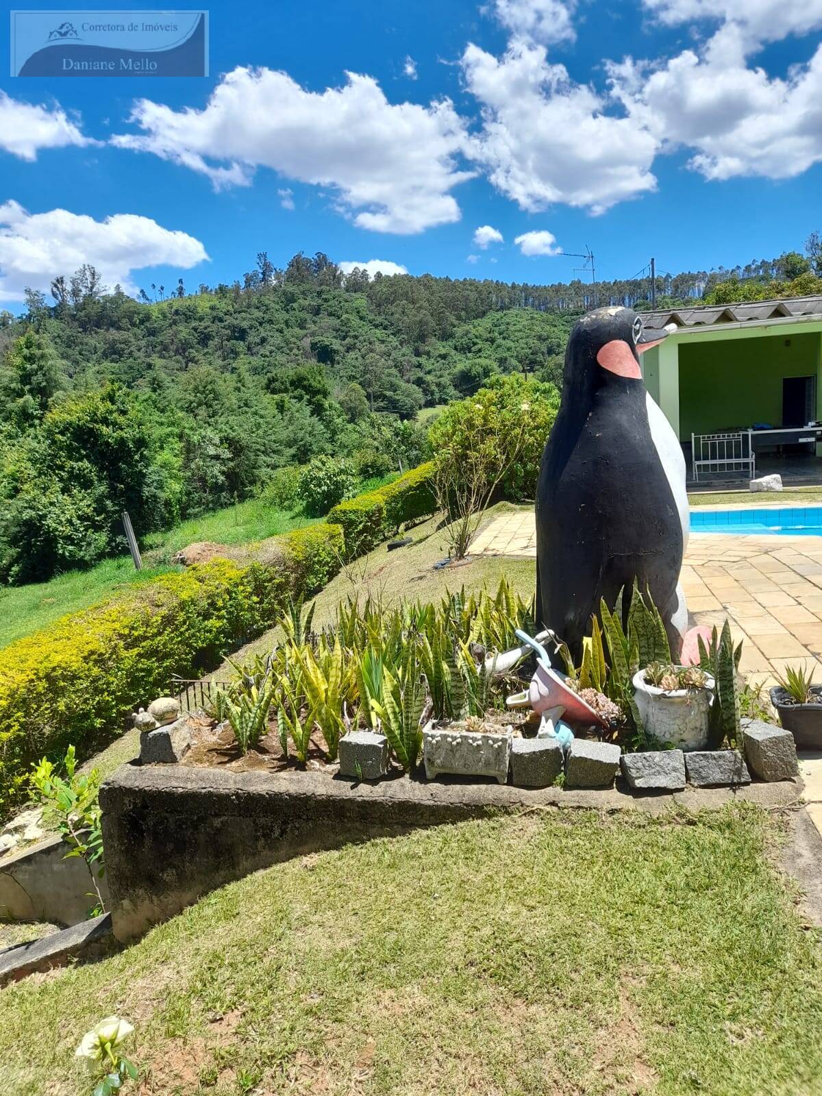 Fazenda à venda com 3 quartos, 200m² - Foto 11