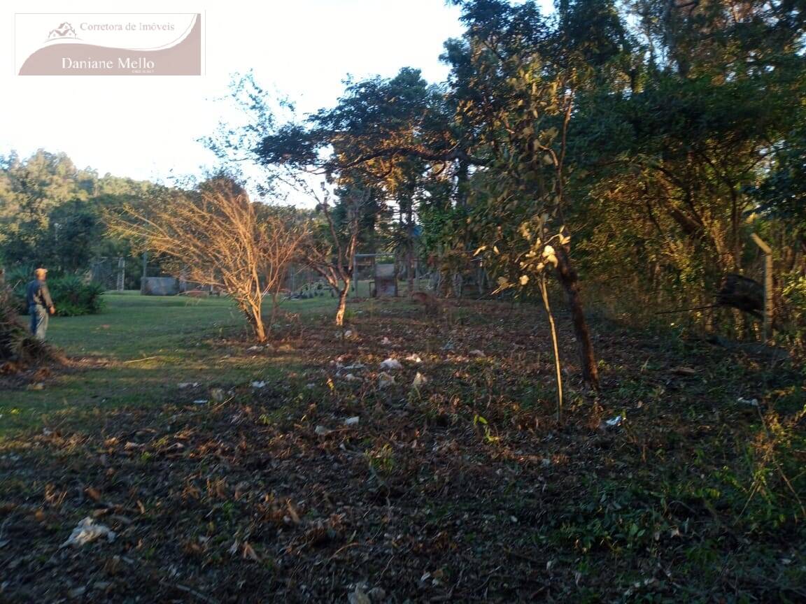 Fazenda à venda com 3 quartos, 200m² - Foto 19