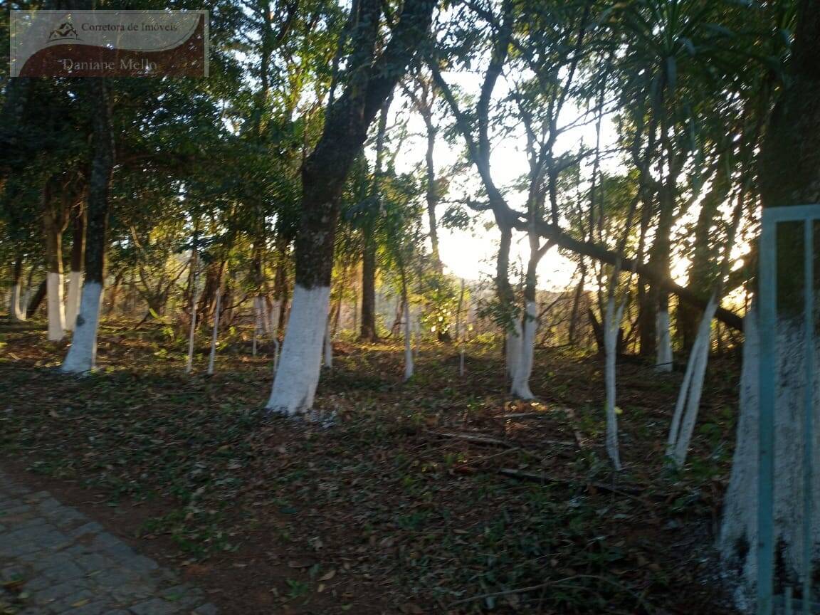 Fazenda à venda com 3 quartos, 200m² - Foto 26