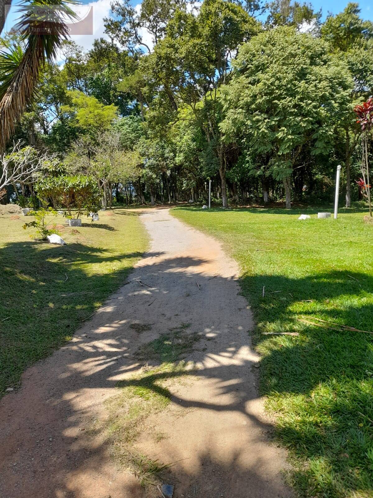 Fazenda à venda com 3 quartos, 200m² - Foto 23